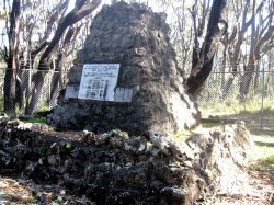 Walter Hood Monument walk